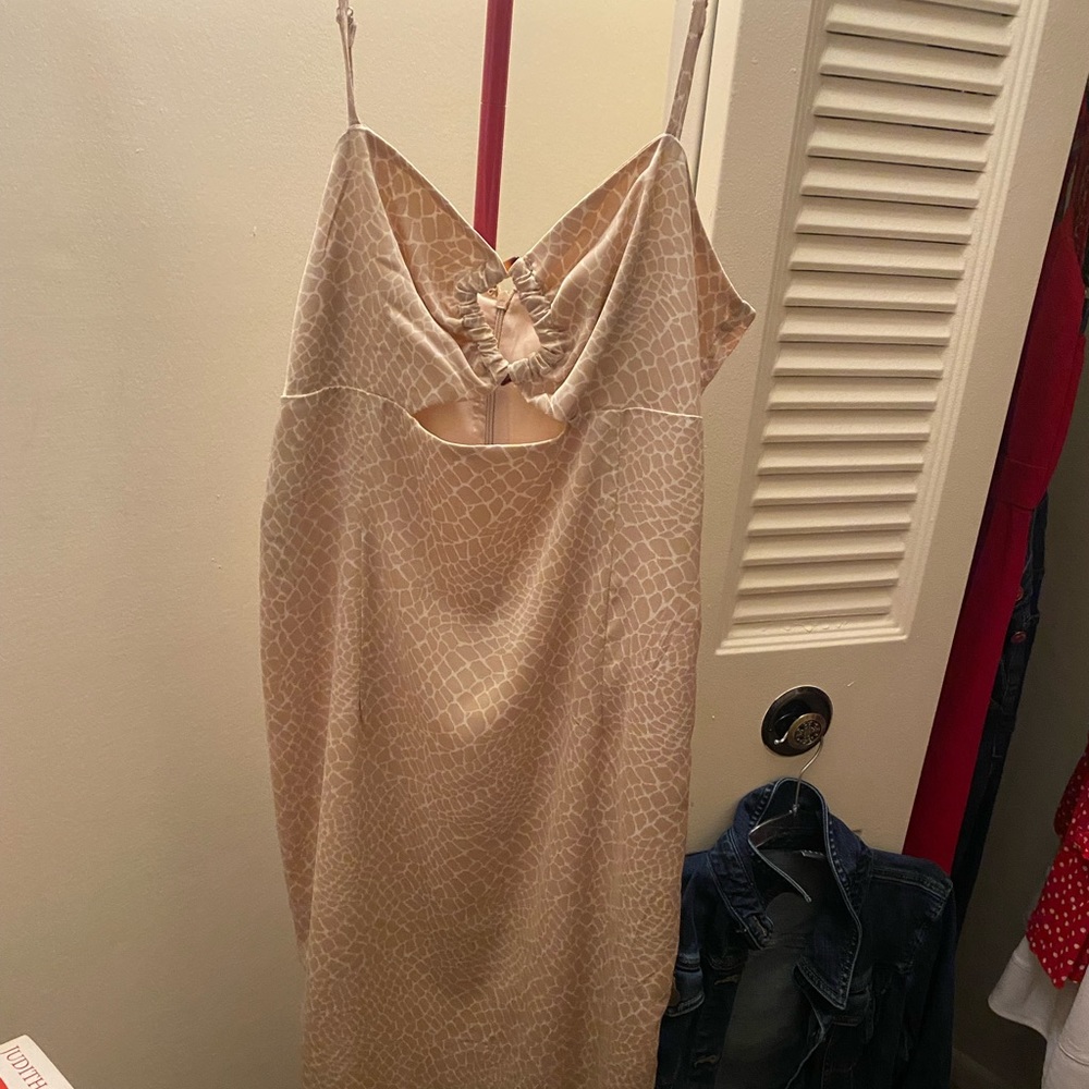 Dress from Forever 21